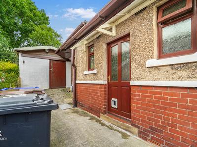 Picture 23